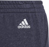 Future Icons 3-Stripes broek
