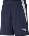 teamLIGA Shorts Short 100%PES