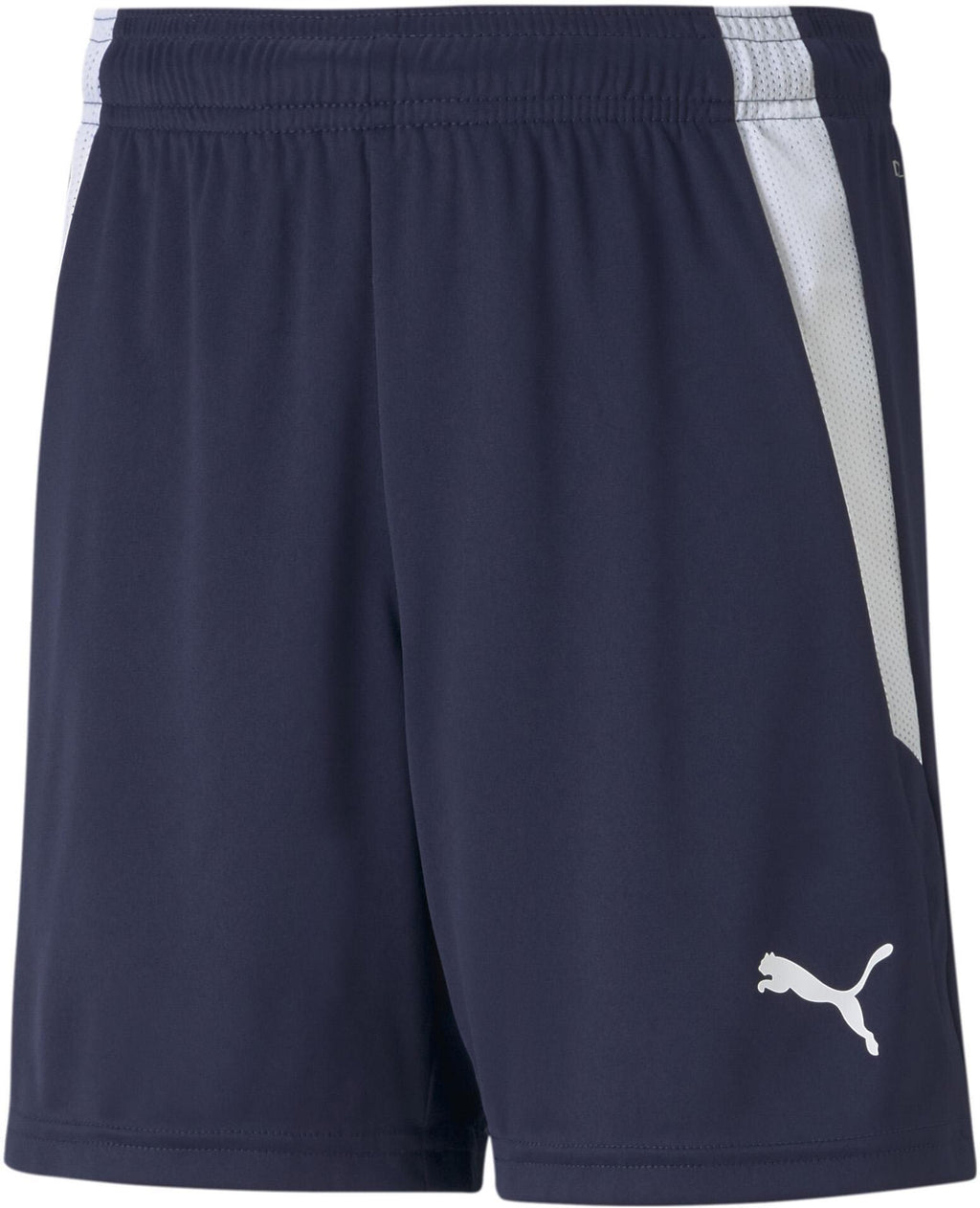 teamLIGA Shorts Short 100%PES
