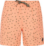 Prtjuan Beachshort