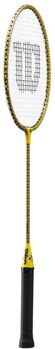 Minions Badminton Set