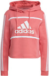 Essentials Logo Colorblock Fleece Cropped Hoodie