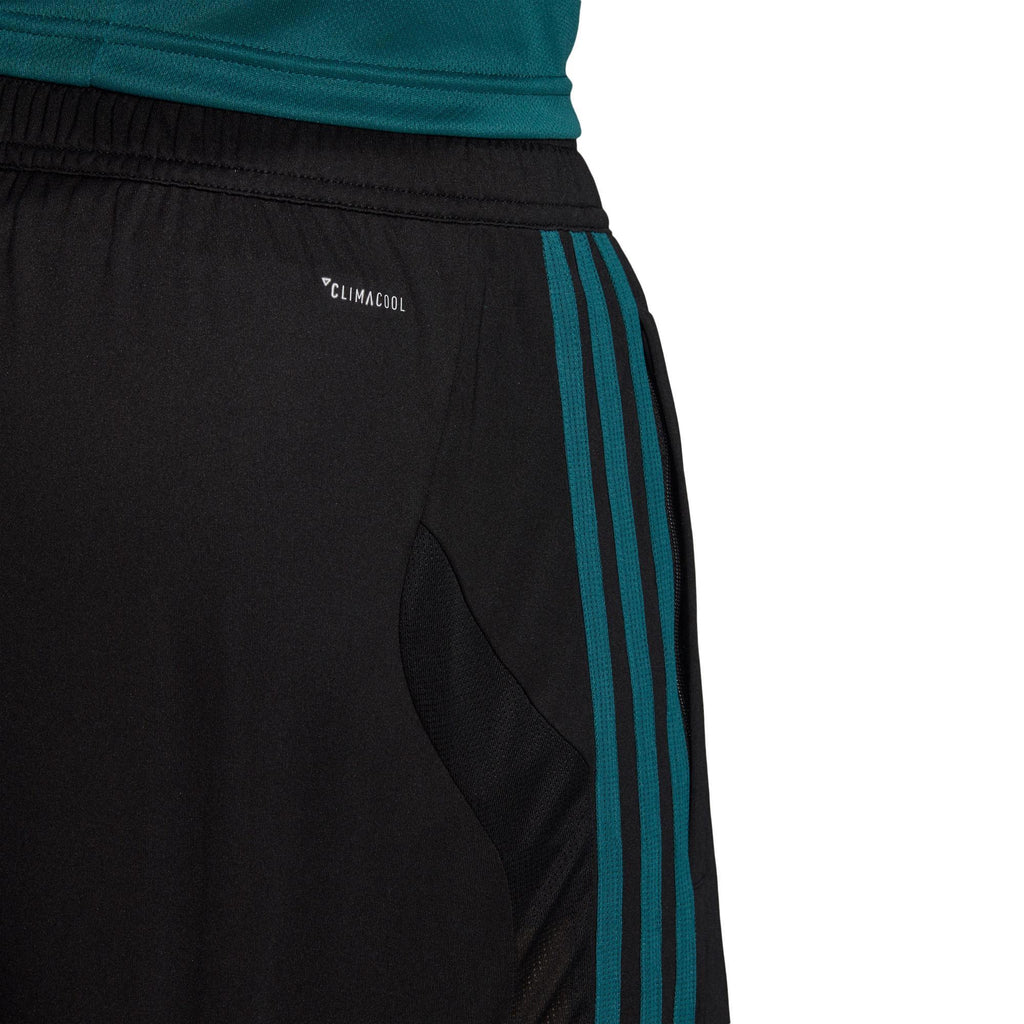 ajax tr sho