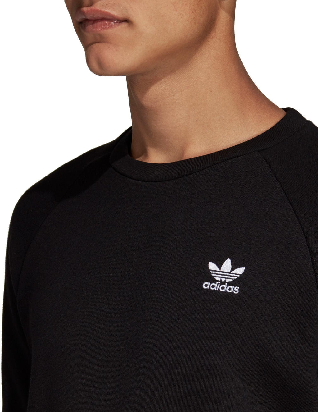Trefoil Essentials Sweatshirt