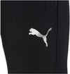 evostripe pants