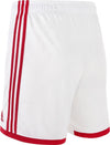 Ajax H Sho