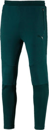 evostripe move pants
