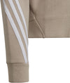 Future Icons 3-Stripes ritshoodie
