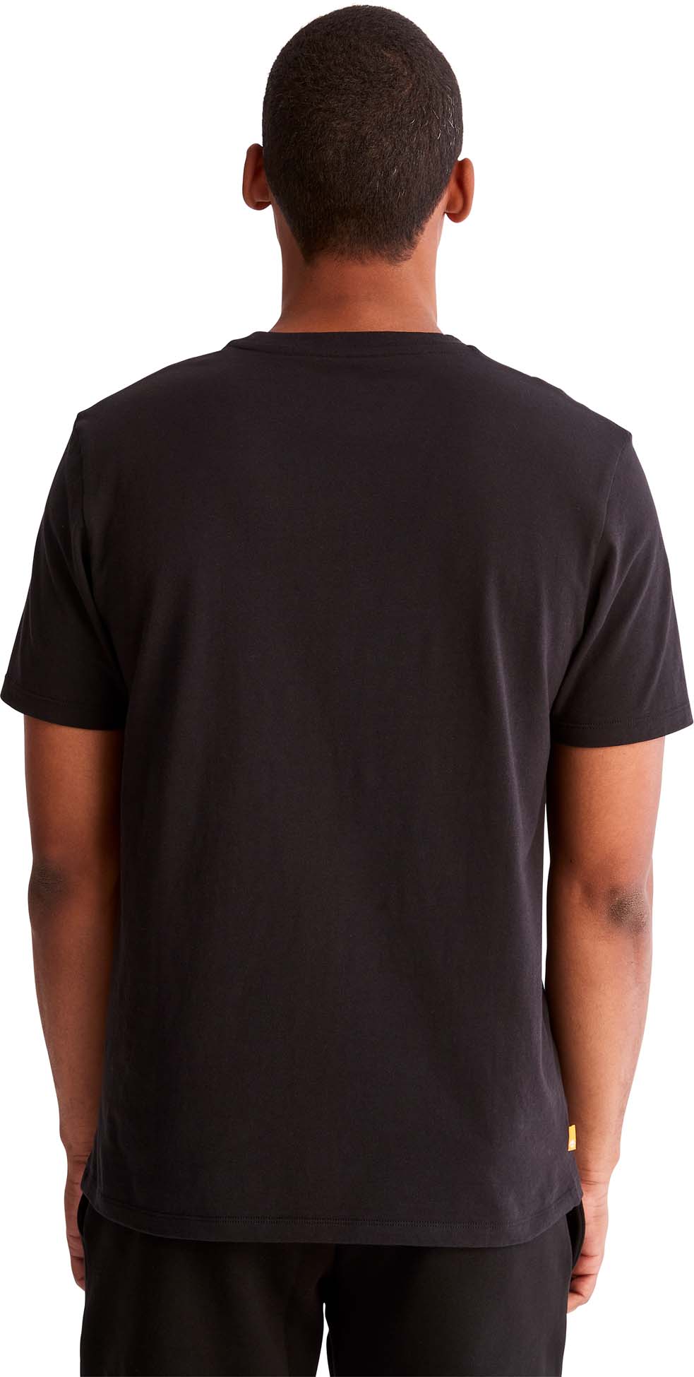 Wwes Front shirt