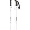 amt silver skistokken