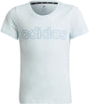 G Lin T