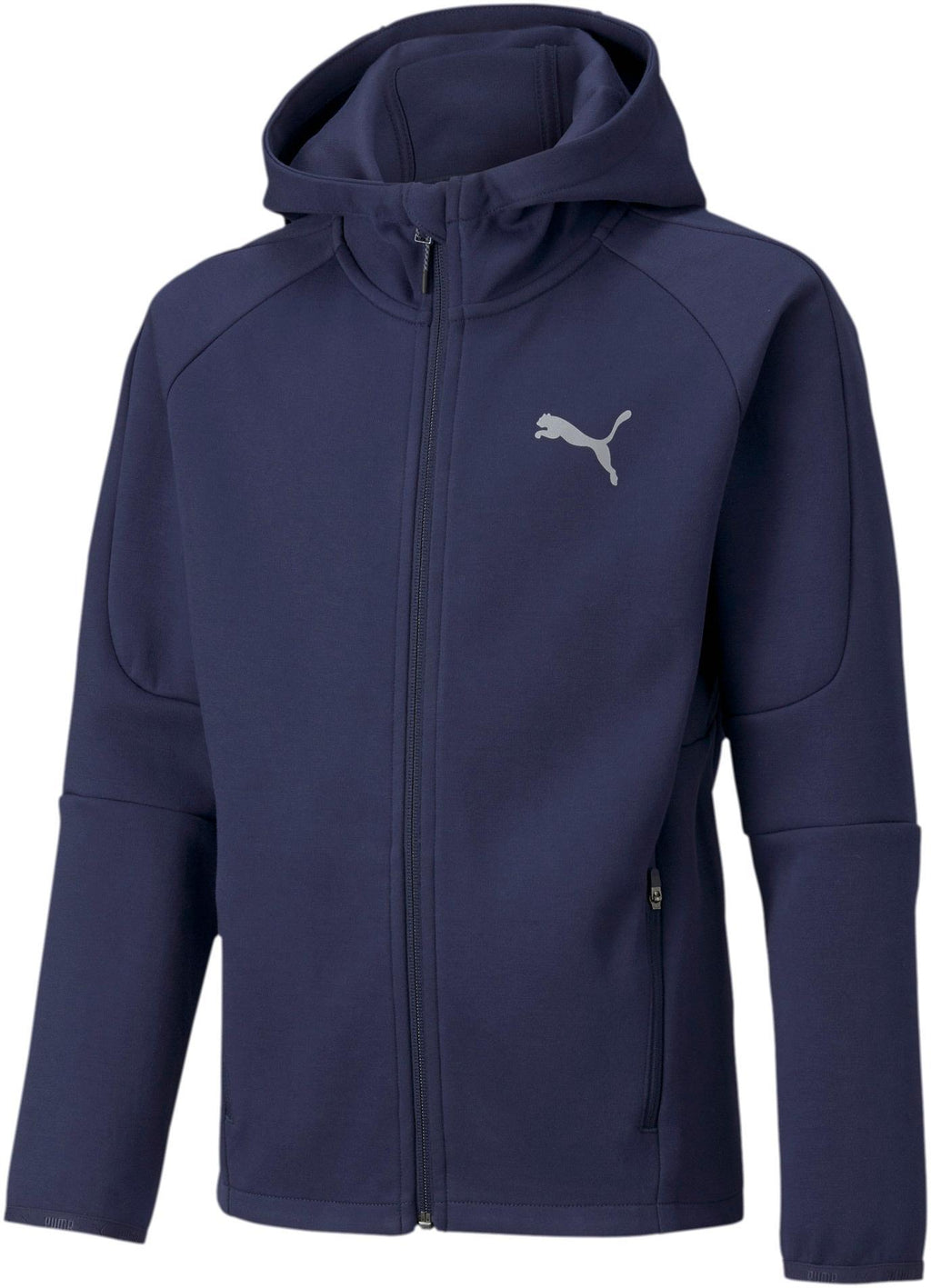 Evostripe Full-zip Hoodie