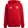 Arsenal Hoodie Kids