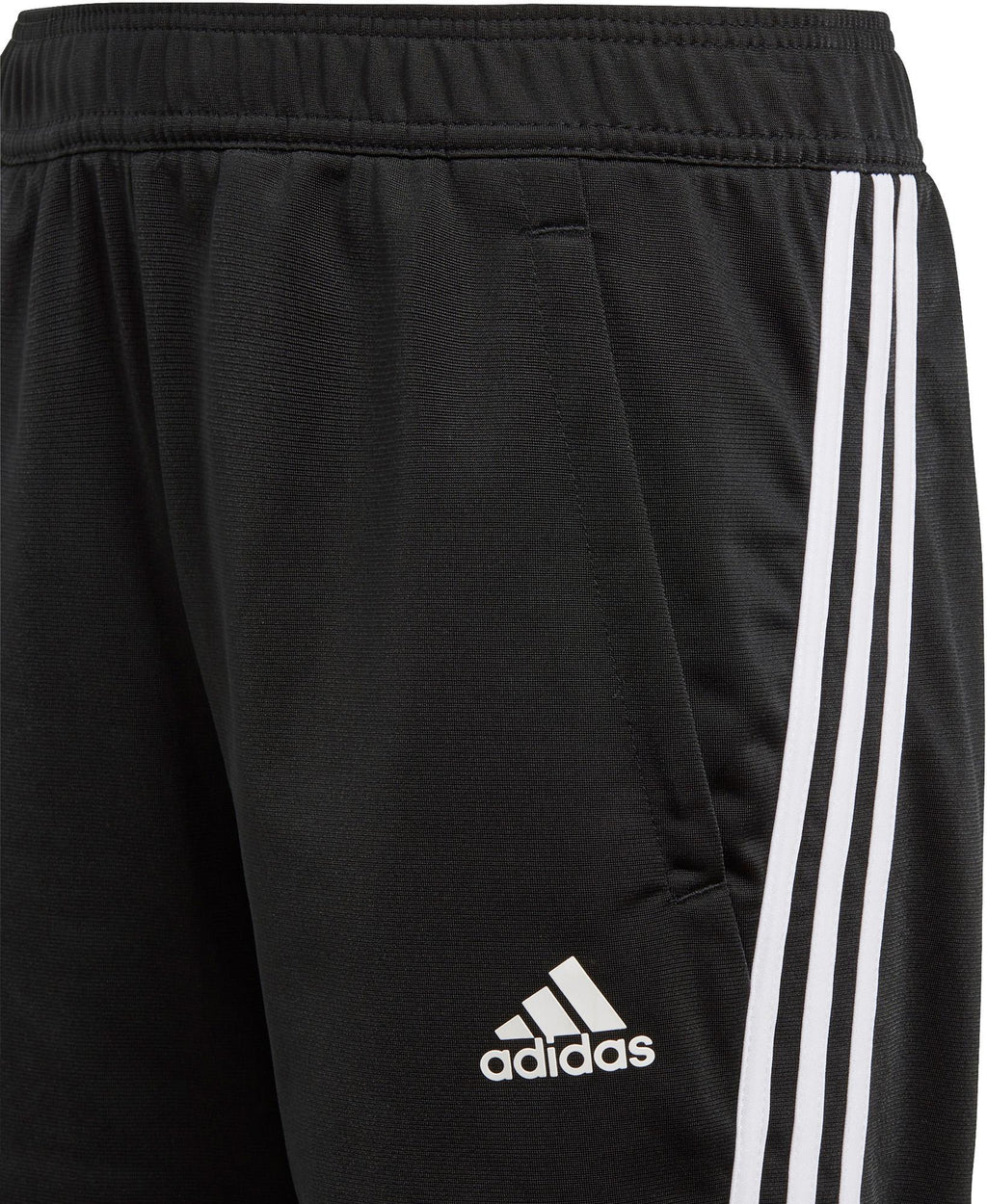 3-Stripes Team Primegreen Trainingspak