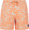 Prtbaza Beachshort