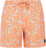 Prtbaza Beachshort