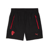 Acm Pumatech Relaxed Woven Shorts