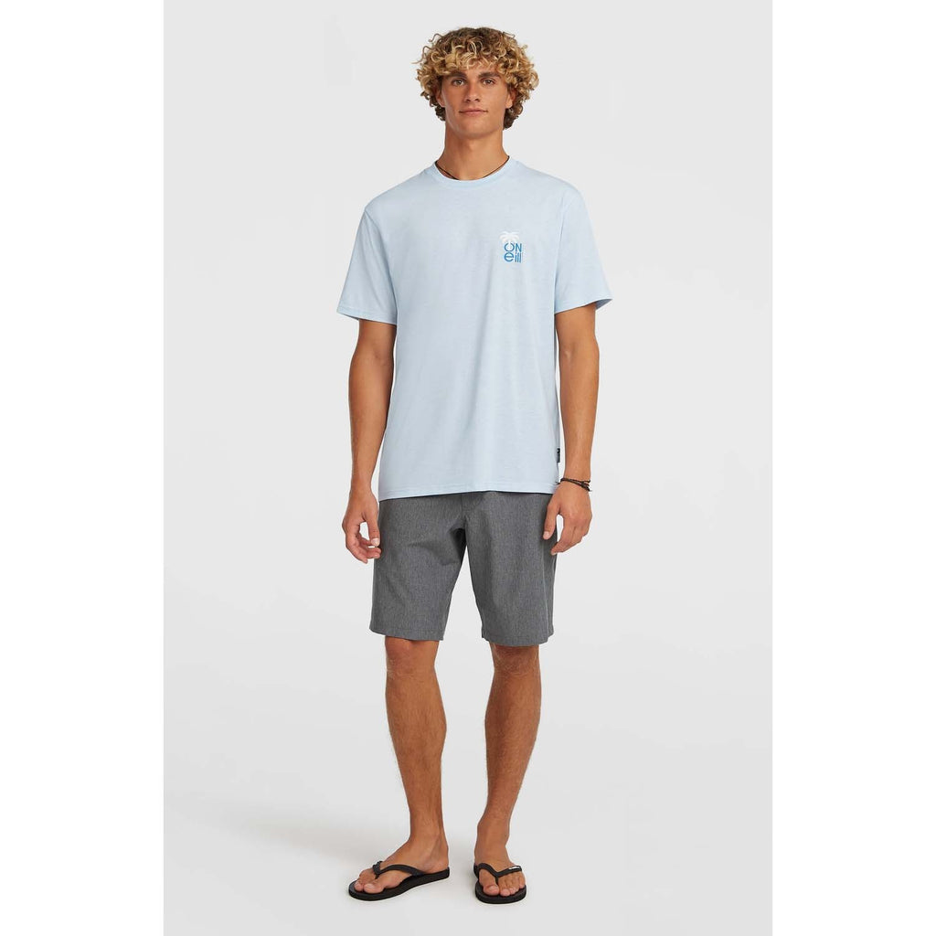 Hybrid Polygiene Graphi Shirt strand