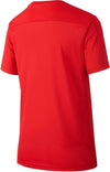 Nike Dri-fit Park 7 Big Kids' Socce