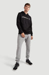 Pm Rutile Oth Fleece Hoodie