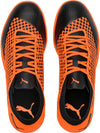PUMA Future 2.4 IT