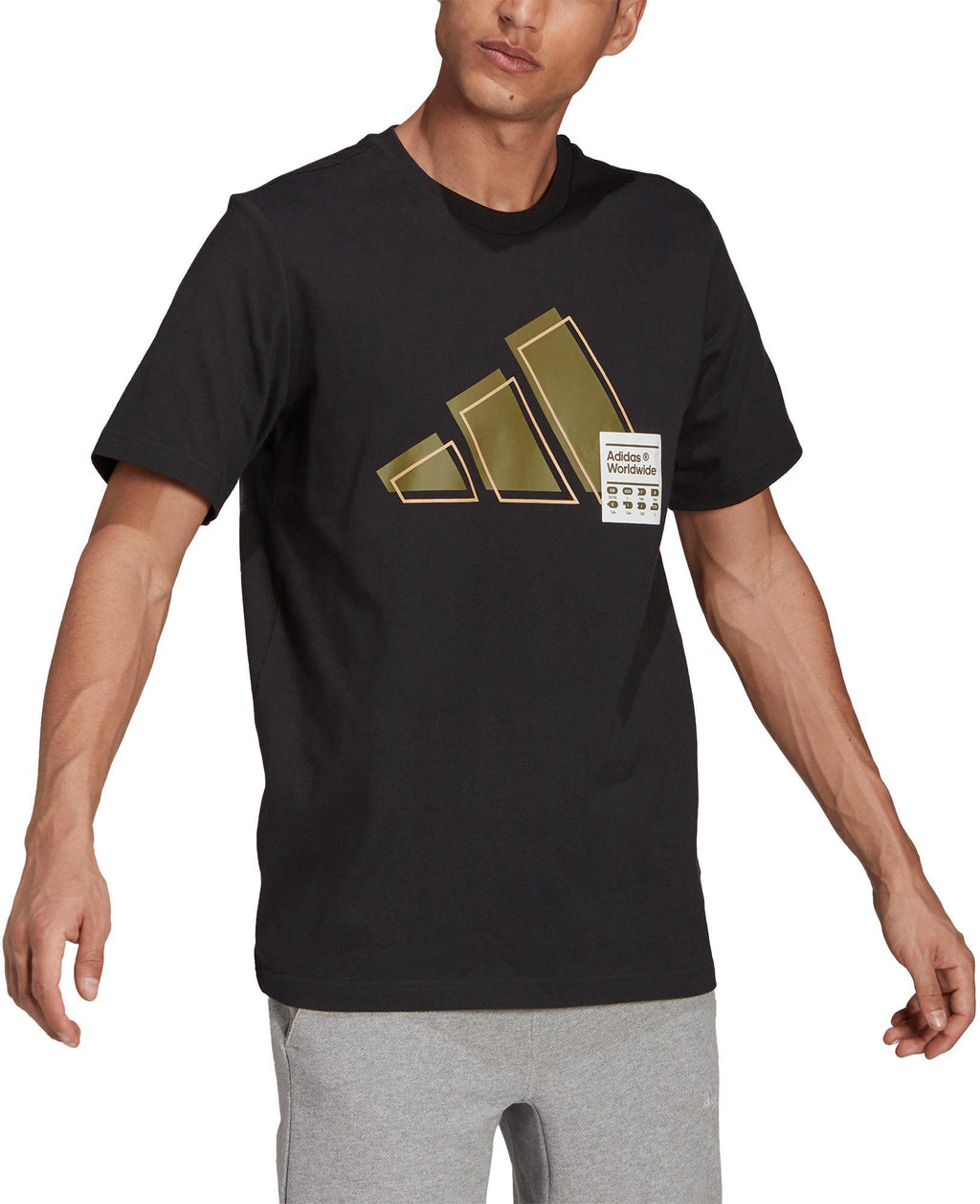 Short Sleeve Graphic t-shirt