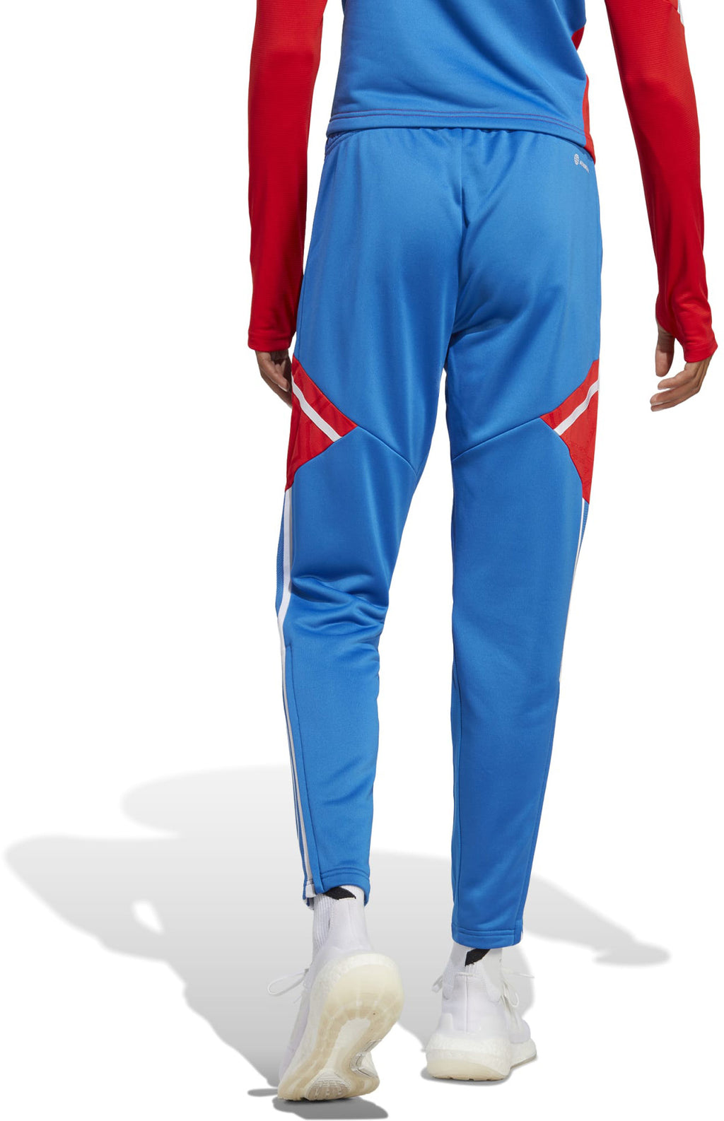 FC Bayern Condivo 22 Training Pants