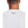 HG Armour Comp longsleeve shirt