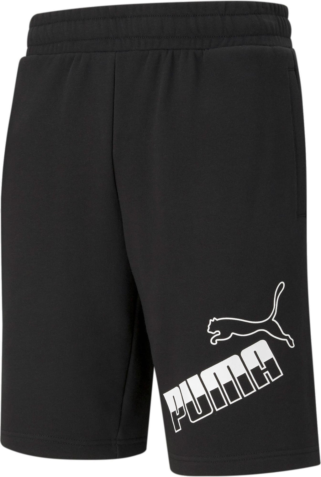 Big Logo Shorts