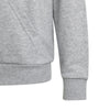 Big Logo Essentials Katoenen hoodie