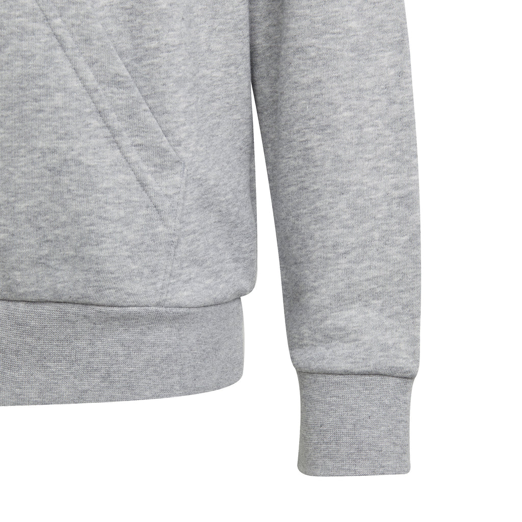 Big Logo Essentials Katoenen hoodie