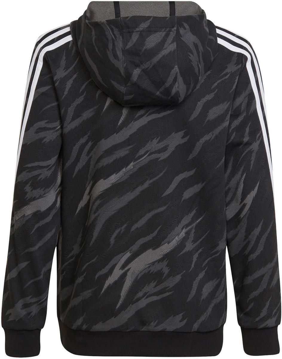 Future Icons 3-Stripes Graphic Hooded sweater