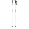 amt silver skistokken