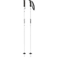 amt silver skistokken
