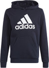 Big Logo Essentials Katoenen hoodie