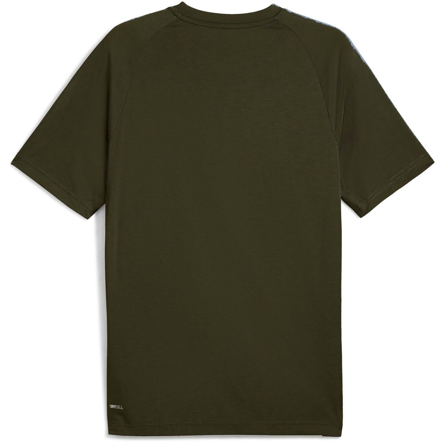 evostripe tee