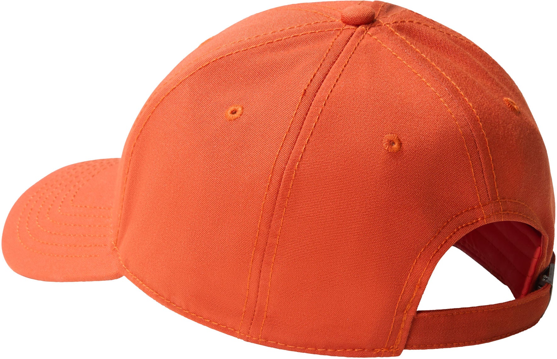 Gerecyclede '66 Classic pet