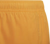 Yb Cb Shorts