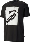 big logo tee