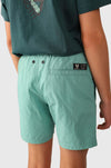 Hestey Boys Swim Shorts