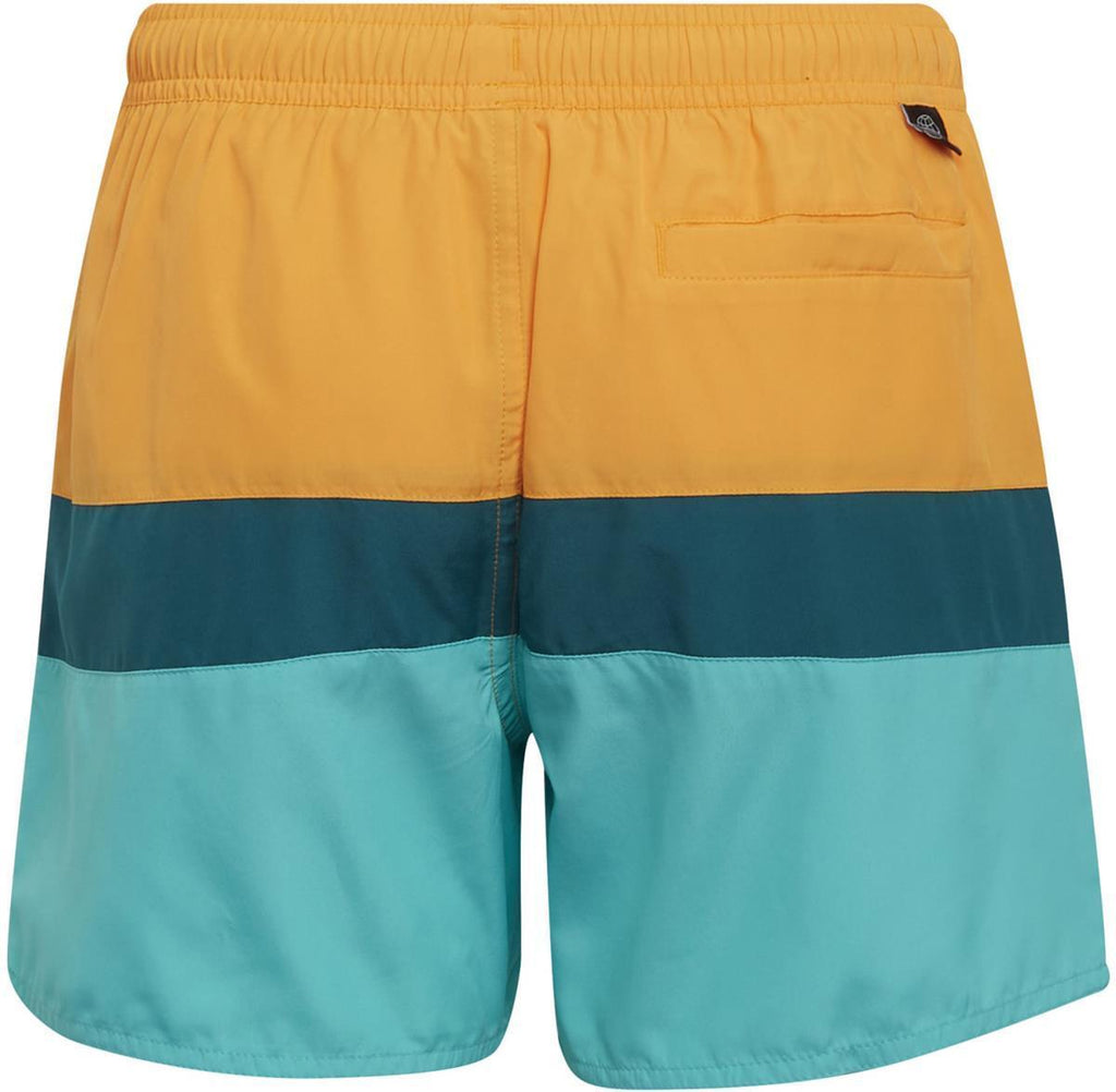 Yb Cb Shorts