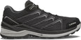 Ferrox Pro GTX Lo wandelschoenen