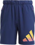 Train Icons 3-Stripes Training Short