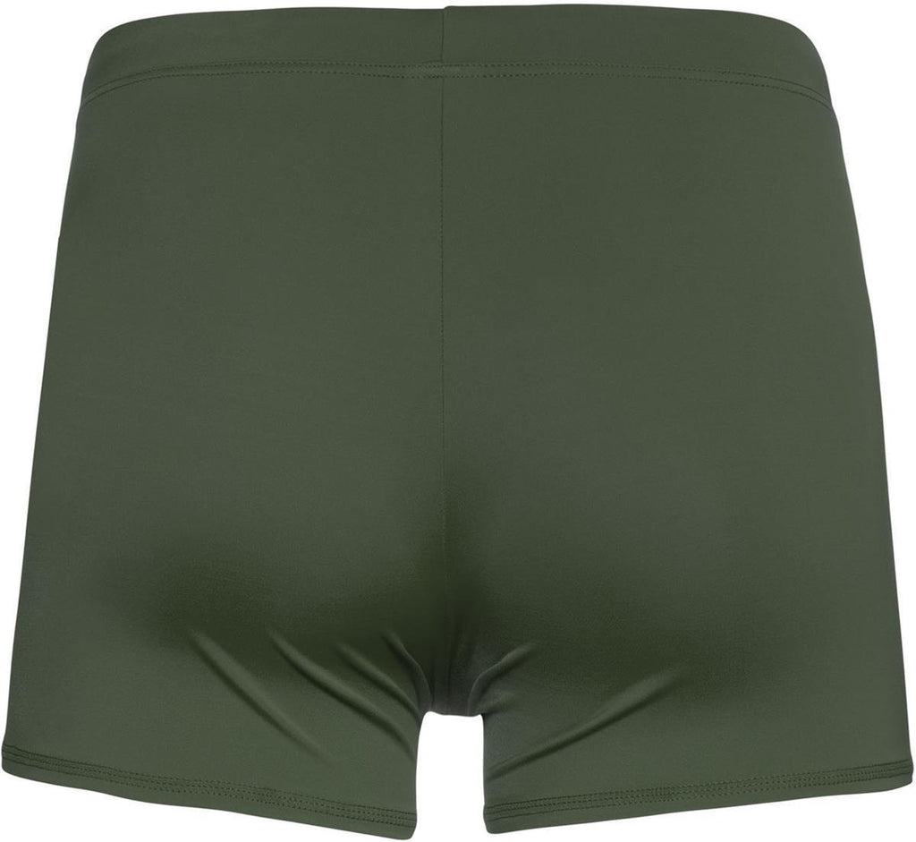 CARST Zwemboxer