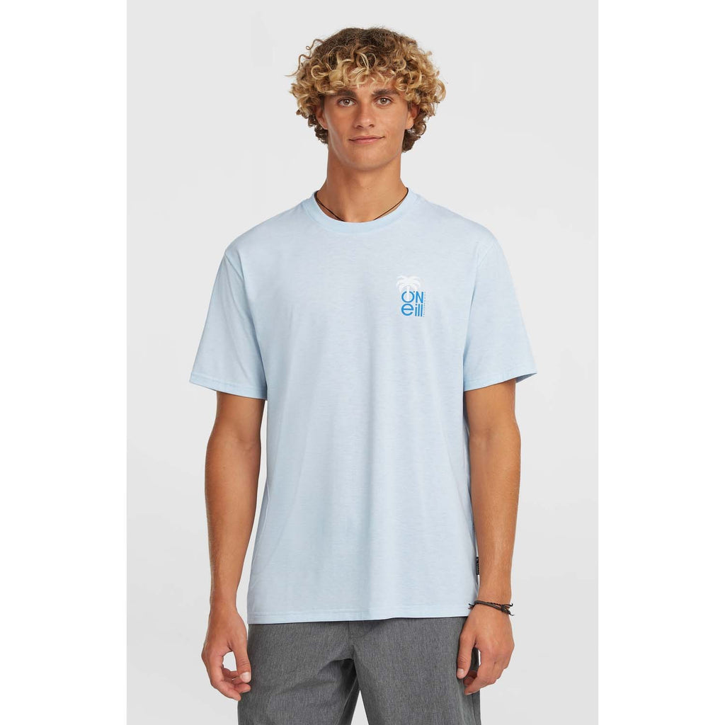 Hybrid Polygiene Graphi Shirt strand