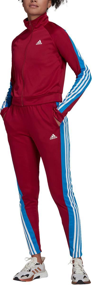 Sportswear Teamsport Trainingspak