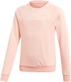 All Caps sweatshirt