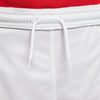 NIKE DRI-FIT PARK III BIG KIDS