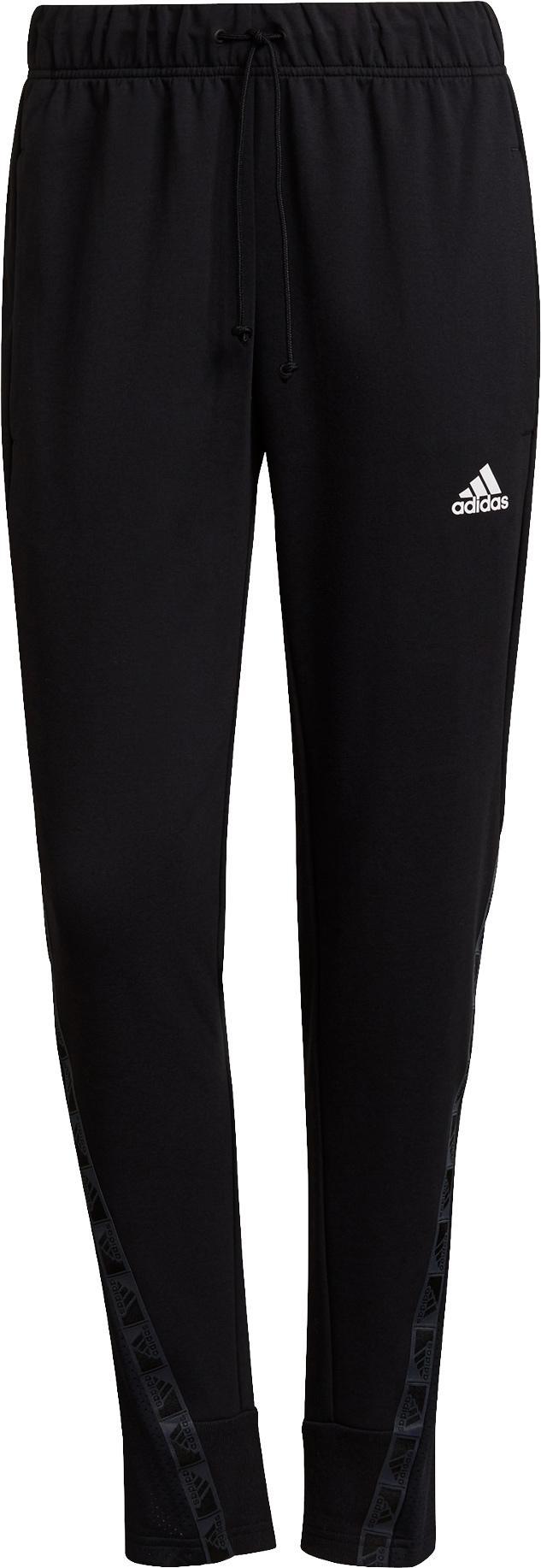 T PT. Pant