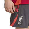 Liverpool FC Dt Training Shorts replica